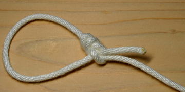 bowline knot 4